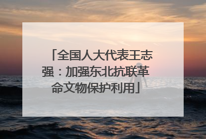 全国人大代表王志强：加强东北抗联革命文物保护利用