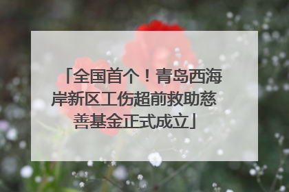 全国首个！青岛西海岸新区工伤超前救助慈善基金正式成立
