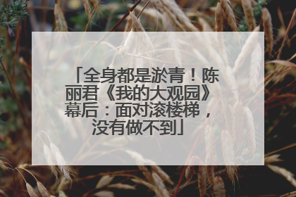 全身都是淤青！陈丽君《我的大观园》幕后：面对滚楼梯，没有做不到