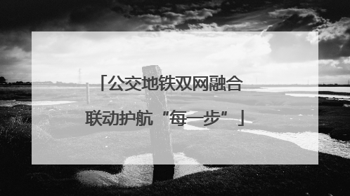 公交地铁双网融合 联动护航“每一步”
