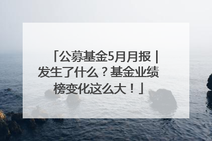 公募基金5月月报｜发生了什么？基金业绩榜变化这么大！