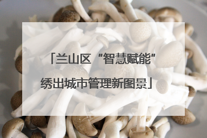兰山区“智慧赋能”绣出城市管理新图景