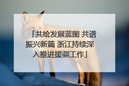 共绘发展蓝图 共谱振兴新篇 浙江持续深入推进援疆工作