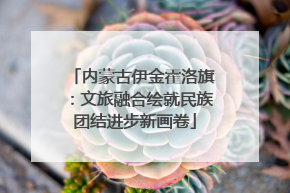 内蒙古伊金霍洛旗：文旅融合绘就民族团结进步新画卷