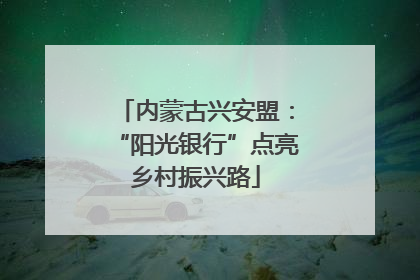 内蒙古兴安盟：“阳光银行”点亮乡村振兴路