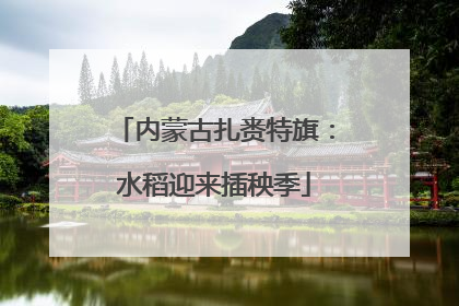 内蒙古扎赉特旗：水稻迎来插秧季