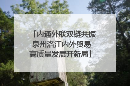 内通外联双链共振 泉州洛江内外贸易高质量发展开新局