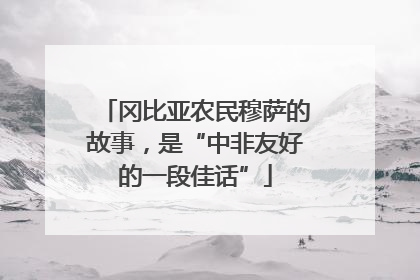 冈比亚农民穆萨的故事，是“中非友好的一段佳话”