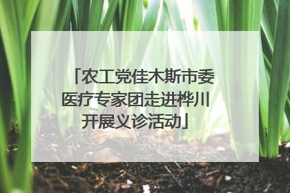农工党佳木斯市委医疗专家团走进桦川开展义诊活动