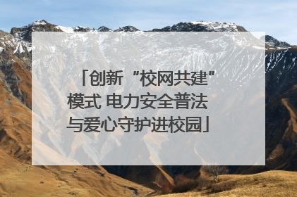 创新“校网共建”模式 电力安全普法与爱心守护进校园