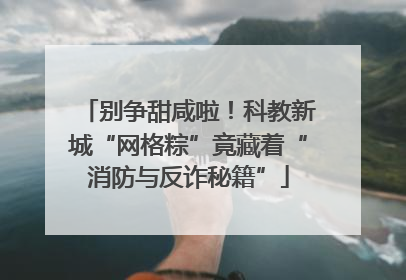 别争甜咸啦！科教新城“网格粽”竟藏着“消防与反诈秘籍”