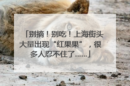 别摘！别吃！上海街头大量出现“红果果”，很多人忍不住了……