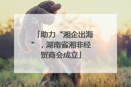 助力“湘企出海”，湖南省湘非经贸商会成立