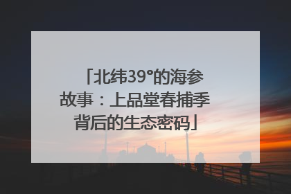 北纬39°的海参故事：上品堂春捕季背后的生态密码