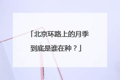 北京环路上的月季到底是谁在种？