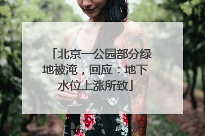 北京一公园部分绿地被淹，回应：地下水位上涨所致