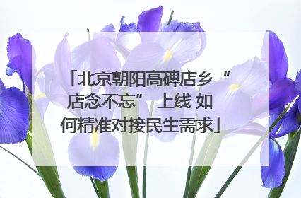 北京朝阳高碑店乡“店念不忘” 上线 如何精准对接民生需求