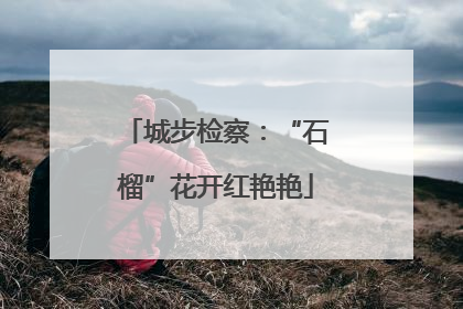城步检察：“石榴”花开红艳艳