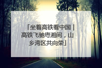 坐着高铁看中国｜高铁飞驰粤湘间，山乡湾区共向荣