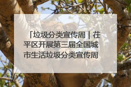 垃圾分类宣传周｜茌平区开展第三届全国城市生活垃圾分类宣传周系列活动之垃圾分类基层专题培训活动