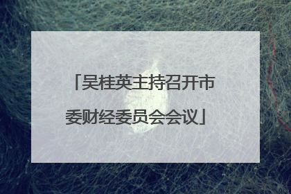 吴桂英主持召开市委财经委员会会议