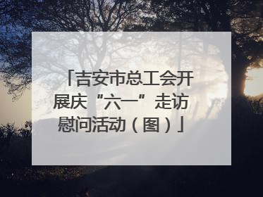 吉安市总工会开展庆“六一”走访慰问活动（图）