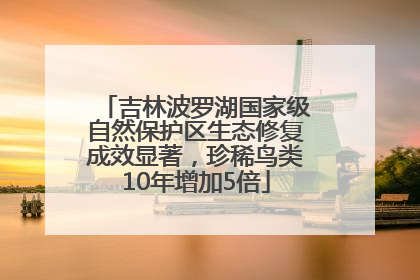 吉林波罗湖国家级自然保护区生态修复成效显著，珍稀鸟类10年增加5倍