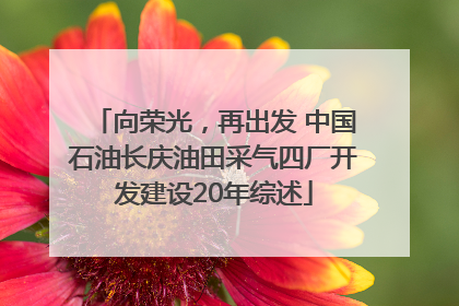 向荣光，再出发 中国石油长庆油田采气四厂开发建设20年综述
