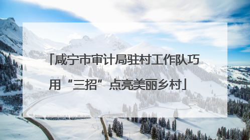 咸宁市审计局驻村工作队巧用“三招”点亮美丽乡村