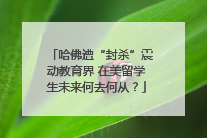 哈佛遭“封杀”震动教育界 在美留学生未来何去何从？
