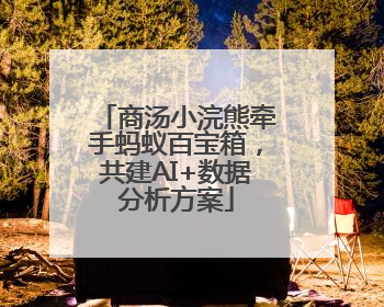 商汤小浣熊牵手蚂蚁百宝箱，共建AI+数据分析方案