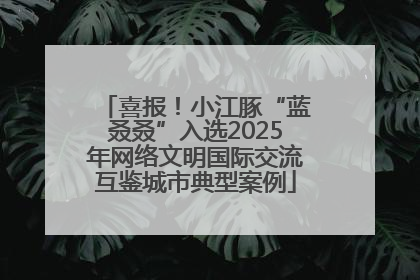 喜报！小江豚“蓝叒叒”入选2025年网络文明国际交流互鉴城市典型案例