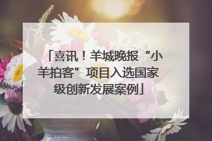 喜讯！羊城晚报“小羊拍客”项目入选国家级创新发展案例