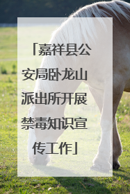 嘉祥县公安局卧龙山派出所开展禁毒知识宣传工作