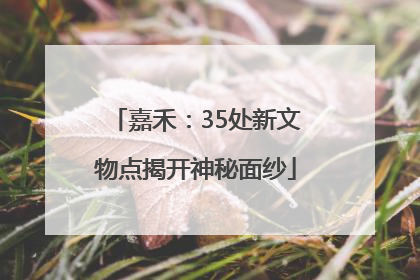 嘉禾：35处新文物点揭开神秘面纱