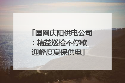 国网庆阳供电公司：精益巡检不停歇 迎峰度夏保供电