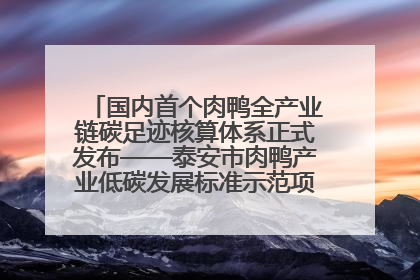 国内首个肉鸭全产业链碳足迹核算体系正式发布——泰安市肉鸭产业低碳发展标准示范项目顺利通过验收