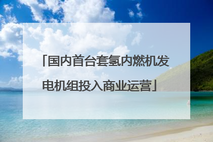 国内首台套氢内燃机发电机组投入商业运营