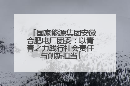 国家能源集团安徽合肥电厂团委：以青春之力践行社会责任与创新担当