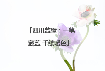 四川监狱：一笔藏蓝 千缕暖色