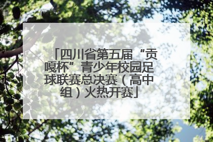 四川省第五届“贡嘎杯”青少年校园足球联赛总决赛（高中组）火热开赛
