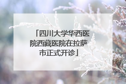 四川大学华西医院西藏医院在拉萨市正式开诊