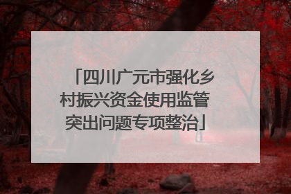 四川广元市强化乡村振兴资金使用监管突出问题专项整治