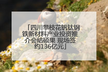 四川攀枝花钒钛钢铁新材料产业投资推介会结硕果 现场签约136亿元