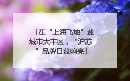在“上海飞地”盐城市大丰区，“沪苏”品牌日益响亮
