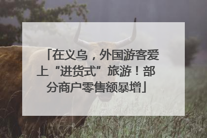 在义乌，外国游客爱上“进货式”旅游！部分商户零售额暴增