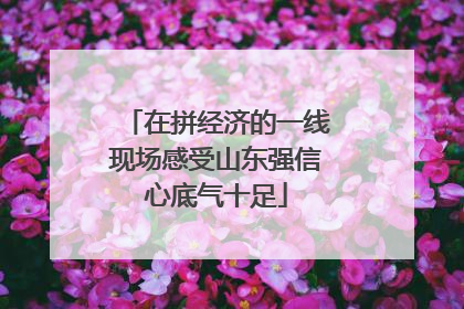 在拼经济的一线现场感受山东强信心底气十足
