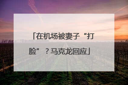 在机场被妻子“打脸”？马克龙回应