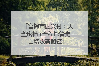 富锦市振兴村：大垄密植+全程托管走出增收新路径