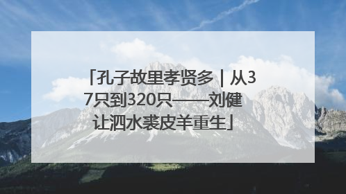 孔子故里孝贤多｜从37只到320只——刘健让泗水裘皮羊重生